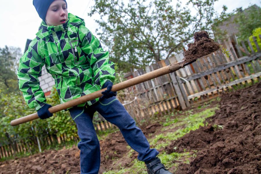 A boy digging garden soil with a shovel